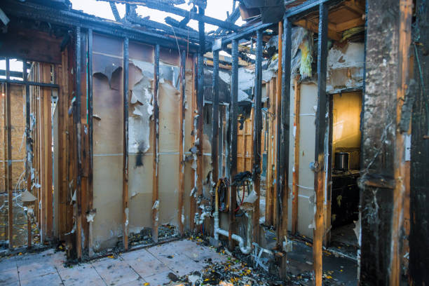 Professional Fire Damage Removal technician working in Indian Harbour Beach, FL
